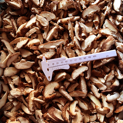 Frozen Sliced Shiita